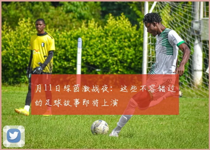 月11日绿茵激战夜：这些不容错过的足球故事即将上演