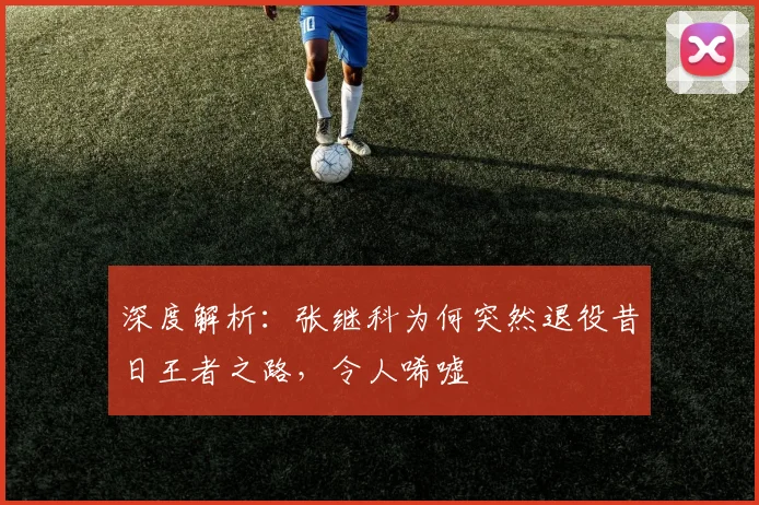 深度解析:张继科为何突然退役昔日王者之路,令人唏嘘