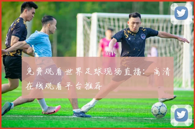 免费观看世界足球现场直播:高清在线观看平台推荐
