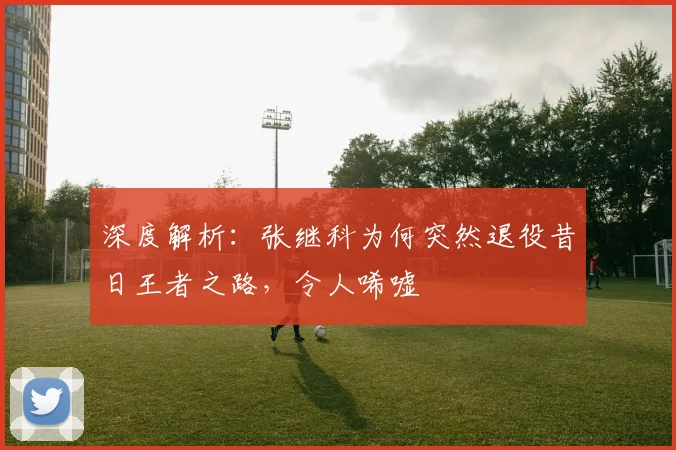 深度解析:张继科为何突然退役昔日王者之路,令人唏嘘